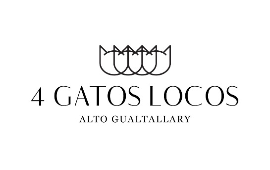 2020 4 Gatos Locos 'Cuatro' Alto Gualtallary Malbec