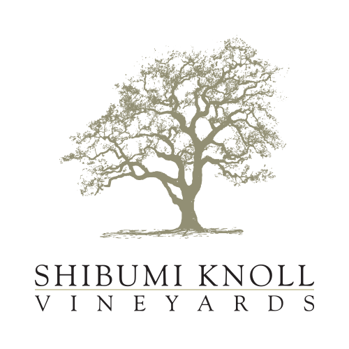 2021 Shibumi Knoll Corazon del Rio RRV Chardonnay